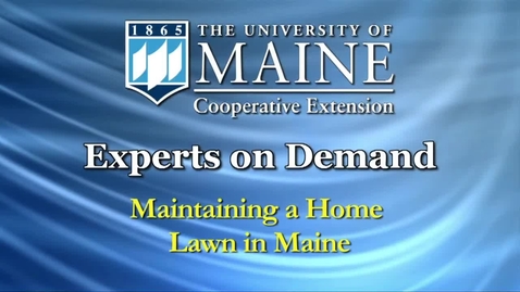 Thumbnail for entry How to Maintain a Home Lawn in Maine