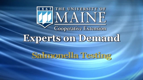 Thumbnail for entry Testing Eggs for Salmonella at UMaine
