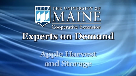 Thumbnail for entry How to Harvest and Store Apples in Maine