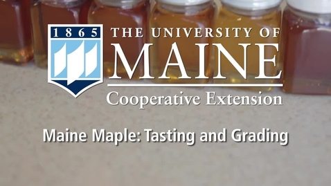 Thumbnail for entry Maple Syrup Grading and Tasting