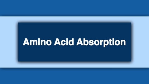 Thumbnail for entry Amino Acid Absorption
