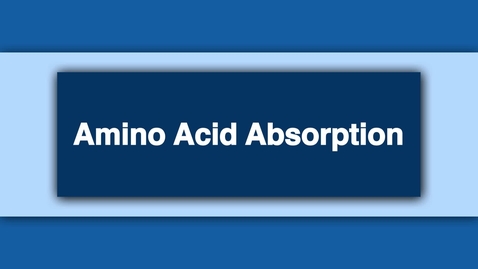 Thumbnail for Amino Acid Absorption