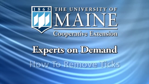 Thumbnail for How To Remove Ticks