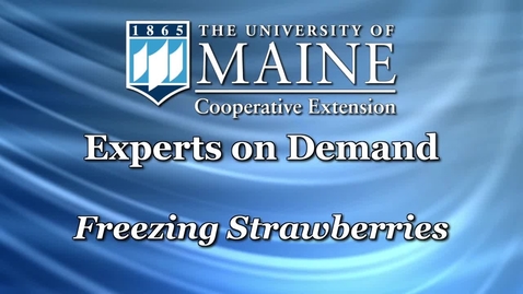 Thumbnail for How to Freeze Strawberries