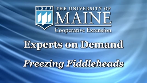 Thumbnail for How To Freeze Fiddleheads