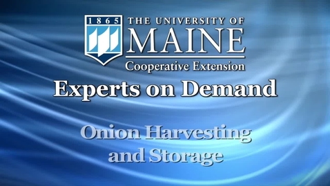 Thumbnail for entry How to Harvest and Store Onions in Maine