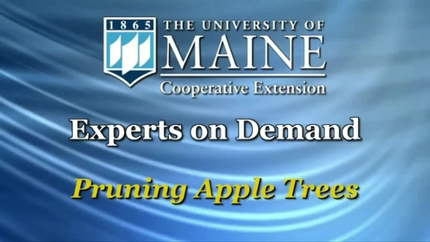 Thumbnail for entry Pruning Apple Trees