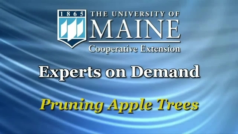 Thumbnail for Pruning Apple Trees