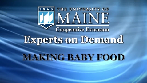 Thumbnail for How to Make Homemade Baby Food