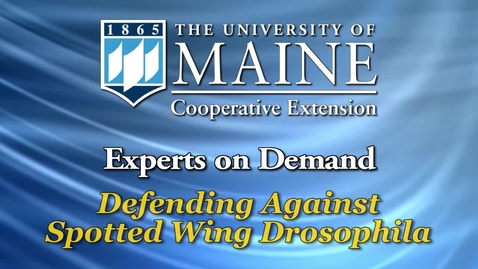 Thumbnail for Defending Against Spotted Wing Drosophila