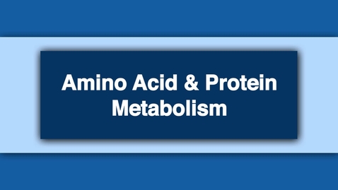 Thumbnail for Amino Acid and Protein Metabolism