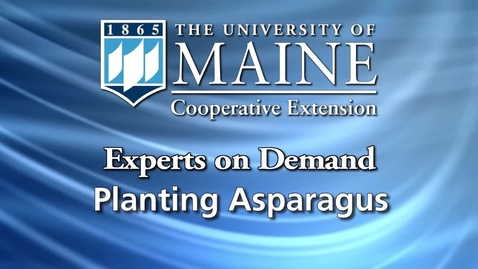 Thumbnail for entry Planting Asparagus