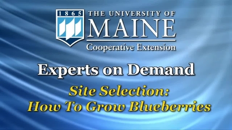 Thumbnail for Site Selection: How to Grow Blueberries