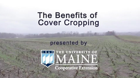Thumbnail for Benefits of Cover Cropping