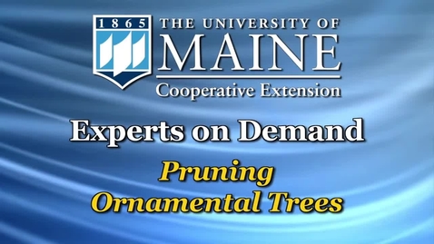 Thumbnail for entry Pruning Ornamental Trees