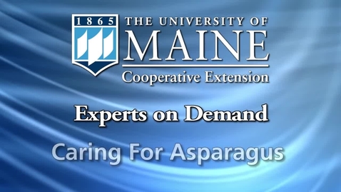 Thumbnail for Caring for Asparagus