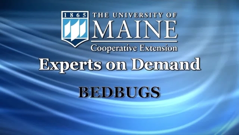 Thumbnail for How to Look for and Avoid Bedbugs in Hotel or Motel Rooms
