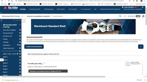 Thumbnail for Working with your Exam in Blackboard