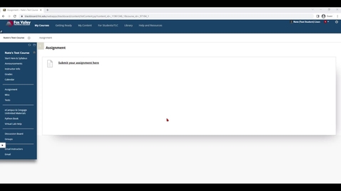 Thumbnail for How to submit an assignment in Blackboard