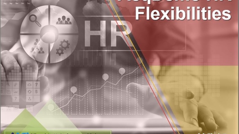Thumbnail for AcqDemo HR Flexibilities
