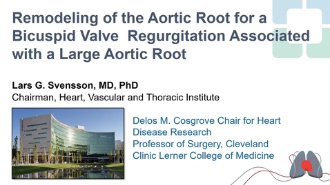 Thumbnail for Remodeling of the Aortic Root for a Bicuspid Valve Regurgitation Associated with a Large Aortic Root