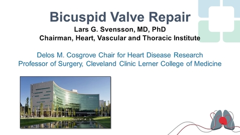 Thumbnail for Bicuspid Aortic Valve Repair with Remodeling: 2 Cases
