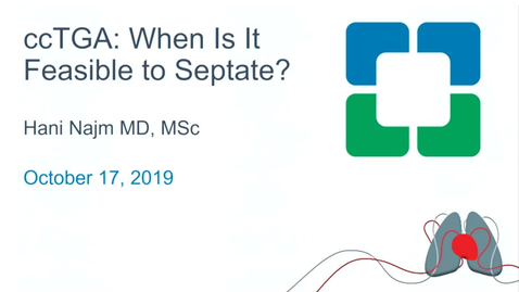 Thumbnail for CCTGA: When is it Feasible to Septate