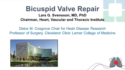 Thumbnail for Bicuspid Aortic Valve Repair