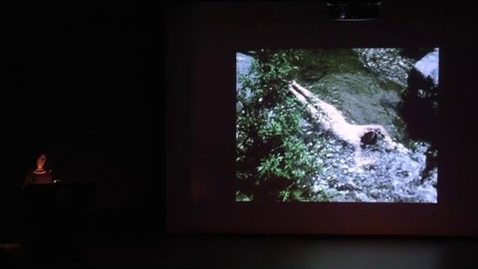 Thumbnail for Raquel Cecilia Mendieta: The Films of Ana Mendieta