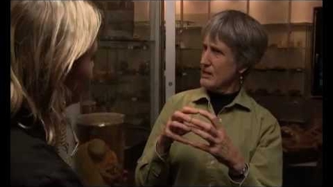 Thumbnail for Donna Haraway on the 'humanimal'