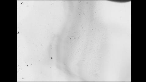 Thumbnail for 30 meter - 8 SECONDEN - Isabella Klauwers