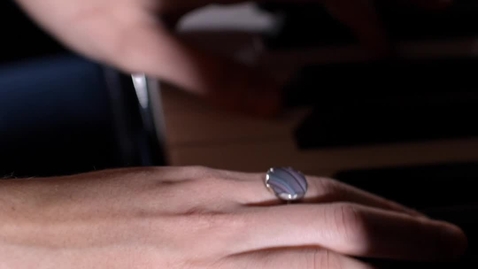 Thumbnail for Insneeuwing