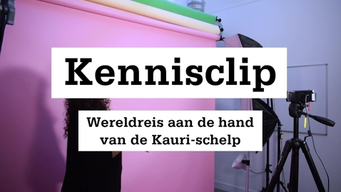 Miniatuur voor invoer Kennisclip Kauri-schelp