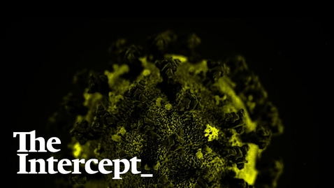 Thumbnail for Naomi Klein: Coronavirus Capitalism — and How to Beat It