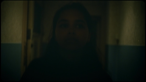 Thumbnail for Running with the Wolves