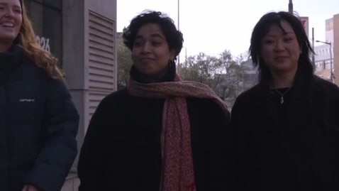 Thumbnail for The Birds Shall Return