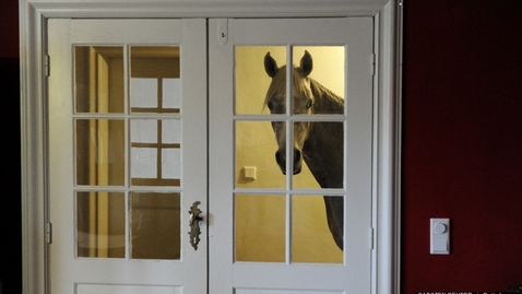 Thumbnail for o-HORSE-IN-HOUSE-900