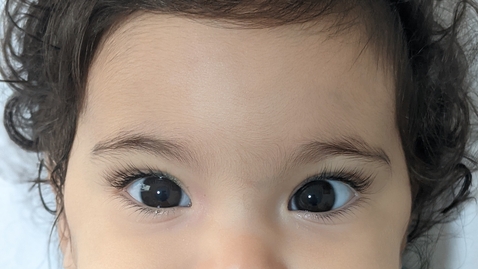 Thumbnail for Keshet 8 months - passport