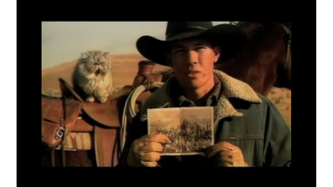 Thumbnail for Cat Herding