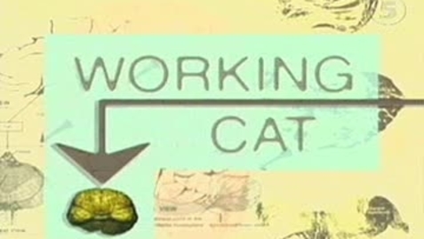 Thumbnail for Oggy N Cockroaches