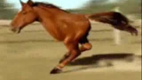 Thumbnail for Horse Powers