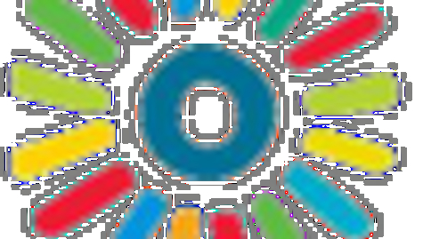 Thumbnail for KalturaFlower