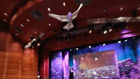 Thumbnail for A robot that flies like a bird | Markus Fischer