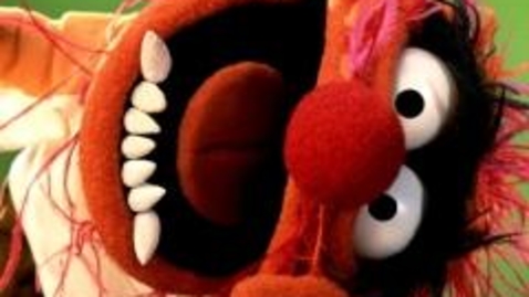 Thumbnail for animalmupp_91oqu9uo.jpg