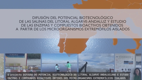 Miniatura para Proyecto Difusión Potencial Biotecnológico del Litoral Algarve Andaluz