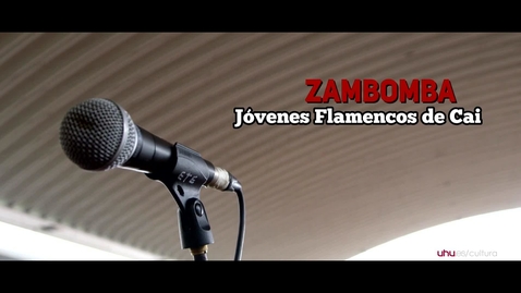 Miniatura para Zambomba flamenca: Jóvenes Flamencos de Cai