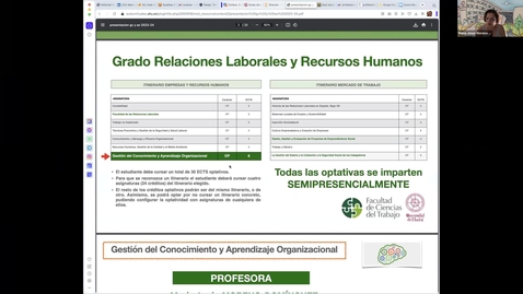 Miniatura para Asignaturas Optativas del Grado en Relaciones Laborales y Recursos Humanos