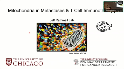 Thumbnail for T Cell Mitochondria and Fitness for Immunotherapy