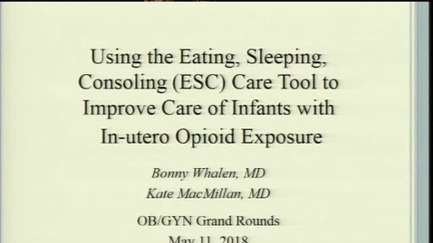 Thumbnail for Improving Care for Opioid-Exposed Newborns using the ESC Care Approach