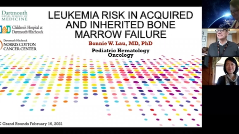Thumbnail for entry Leukemia Risk in Acquired and Inherited Bone Marrow Failure 